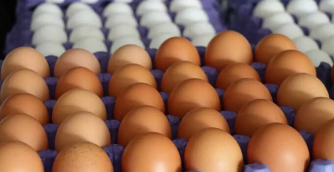 Amerika etkisi zincir marketlerde yumurta fiyatlarına yansıdı
