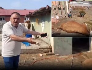 Ardahan’da durum vahim! 6 hayvanını kaybeden üretici ahırı gösterip isyan etti