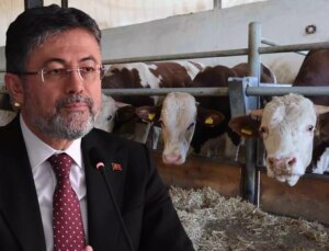 Bakan Yumaklı: Türkiye’de şap hastalığının yeni bir çeşidi 60 sene sonra ilk kez görüldü