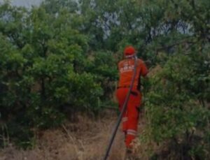 Bingöl’de çıkan orman yangını söndürüldü