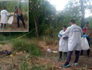 Düzce’de mısır tarlasında insan kafatası ve kemikleri bulundu