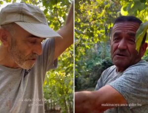 Fındık hasadı için bahçeye ine çiftçiler şoke oldu: İlk defa böyle bir şey görüyorum