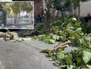 İstanbul’da fırtına alarmı! Ağaçlar devrildi, Gülhane Parkı kapatıldı