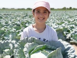 Kilosu 10 liradan satılıyor, hepsi 100 yıllık ata tohumu