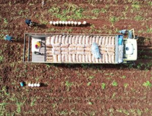 Ağustos enflasyonu belli oldu, fiyatı en çok ucuzlayan ürün mutfakların gözdesi