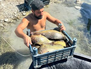 Denizi olmayan ilde balıkçılıktan aylık 200 bin TL kazanıyor