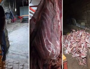 Et denince akla gelen kentte skandal! 1,5 ton et imha edildi