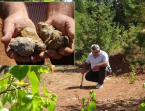 Fiyatı gram altınla yarışıyor: Bir ilimizde vatandaşın yüzünü güldüren taş