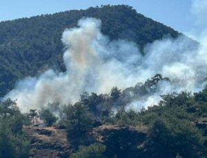 Gaziantep’te orman yangını çıktı