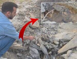 Hakkari’de gizemli vadi! İnsanlara şifa, hayvanlara ölüm getiriyor