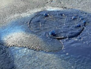 İstanbul’da endişelendiren görüntü! Fabrika atığı kanalizasyondan taştı
