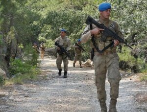 Jandarma kışlada değil, tarlada nöbet tutuyor: Kilosu rekor seviyeleri gördü