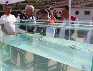 Kilosu bin euro! Bolu’da üretilip dünya pazarına sunulacak