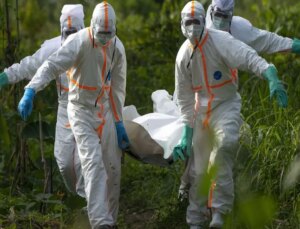 Korkutucu şekilde yayılıyor! Yetkililer ‘bu hayvanlarla kesinlikle temas etmeyin’ diyerek uyardı