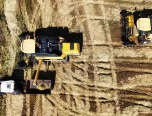 Maliyeti 6 milyon lira, kilosunu 50 liradan satıyorlar! Hasat başladı