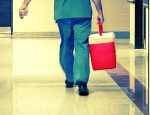 Organ bağışında yeni dönem! Artık e-Devlet ve e-Nabız üzerinden yapılabilecek