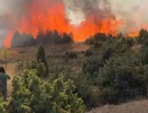 Salça yaparken 30 dönüm maki kül oldu!
