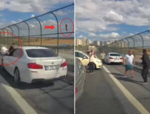 Viyadükteki kediyi kurtarmak isteyen kadına araba çarptı, sonra ortalık karıştı