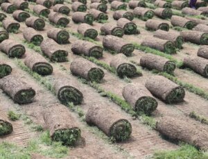 24 yılda 50 kat büyüdü! Köyden kente göçü tersine çeviren tesis