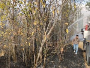 Çankırı’da bahçelik alanda yangın çıktı