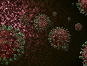 DSÖ’den M çiçeği uyarısı: Kıtayı aştı, hızla kontrol altına alınmalı