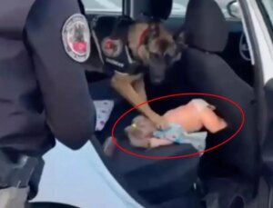 Durdurulan otomobilde uyuşturucunun saklandığı yer pes dedirtti