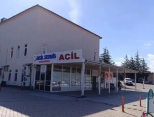 Kahramanmaraş’ta arı sokması sonucu 9 yaşındaki kız çocuğu hayatını kaybetti