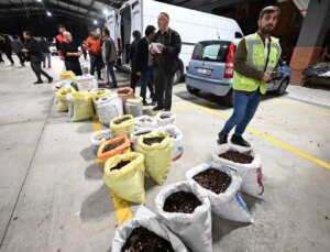 Kilosu 400 liraya satışa çıktı! Herkes bu lezzetin peşinde