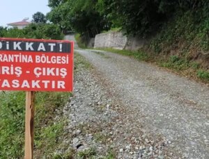 O kentimizde şap hastalığı paniği! Çok sayıda mahalle karantinaya alındı