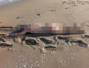 Sakarya Karasu’da sahilde çıplak erkek cesedi bulundu