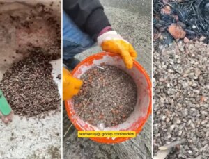 Türkiye’nin öteki gündemi! "Son virajdayız" diyen vatandaştan endişelendiren sözler