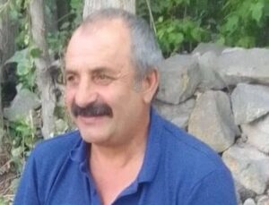 Üzerine tomruk düşen işçi öldü