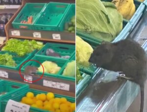 3 harfli market zincirinde skandal görüntü