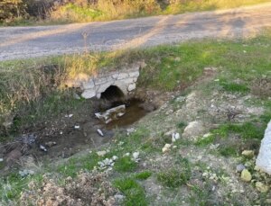 Çanakkale’de boş arazide kız bebek cesedi bulundu