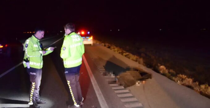 Hakkında kayıp ihbarında bulunulan kişi, otomobilin çarpması sonucu hayatını kaybetti