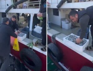 Kasalar dolusu balığı bedava dağıttılar! Nedeni de bir o kadar ilginç