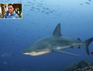 Köpekbalığı saldırısından sağ kurtulan biyolog o anları anlattı