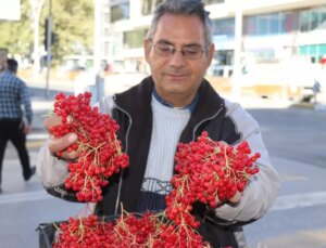 "Gençlik iksiri" tezgahlardaki yerini aldı! Faydaları saymakla bitmiyor