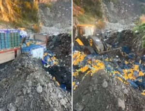 Sınır kapısında zirai ilaç kalıntısı bulunan 6 ton mandalina imha edildi