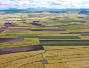 Yatırımda rota değişti, arsa değerinin en çok arttığı 10 il belli oldu