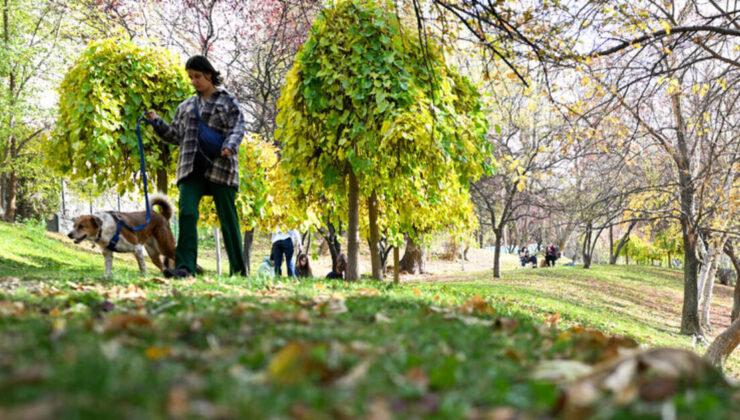 Yurt genelinde hava açık 2 bölgede sağanak!
