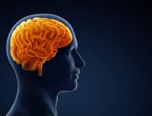 Çocuklukta görülen şiddet, beyni ve davranışı değiştiriyor!