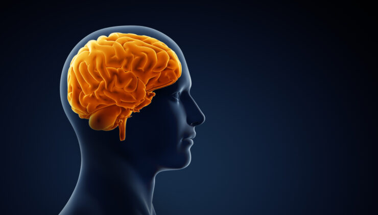 Çocuklukta görülen şiddet, beyni ve davranışı değiştiriyor!