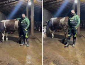 Hayvanıyla video çekip asgari ücretle ilgili yaptığı kıyasa tepki var