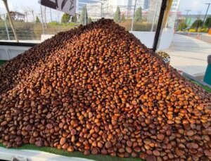 Kilosu 175 liradan, günde 600 kilo satıyor! Havaların soğumasıyla yıldızı parladı