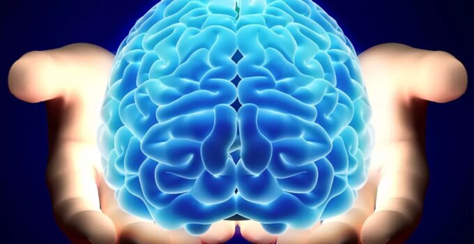 Nörologlar beyin için en zararlı 6 gıdayı açıkladı