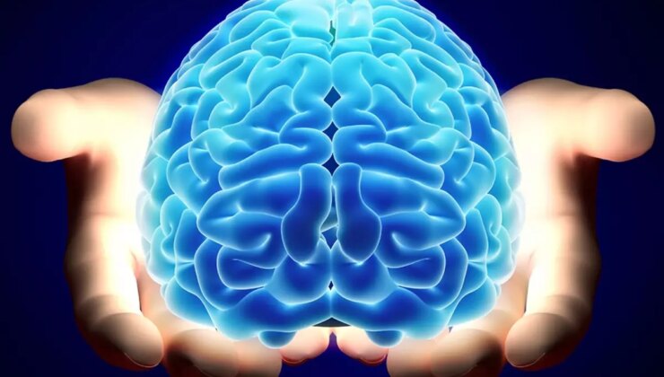 Nörologlar beyin için en zararlı 6 gıdayı açıkladı