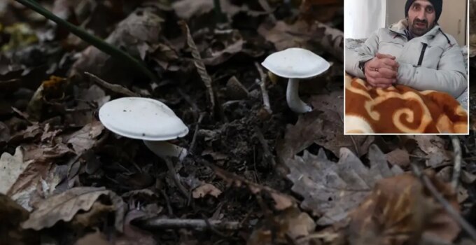 Pazardan aldığı mantardan zehirlenen adamdan uyarı