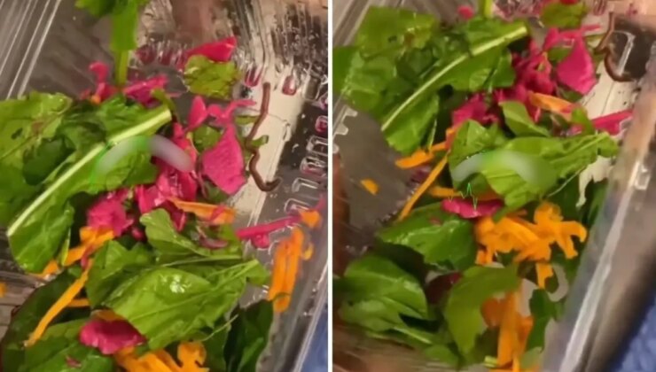 Pidecideki salatadan çıkan yok artık dedirtti