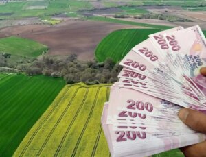 "2B arsa" vaadiyle 40 milyonluk vurgun